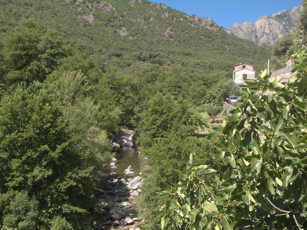 Appartement Centre-Ville Corte  Δωμάτιο φωτογραφία